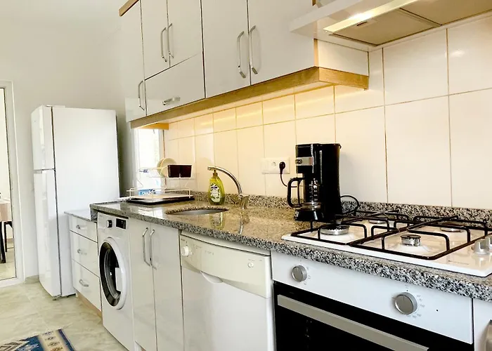 Lacitrus Villa&hotel-ozy Hotel *