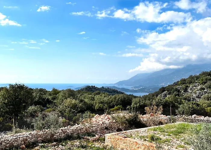 Lacitrus Villa&hotel-ozy Hotel *