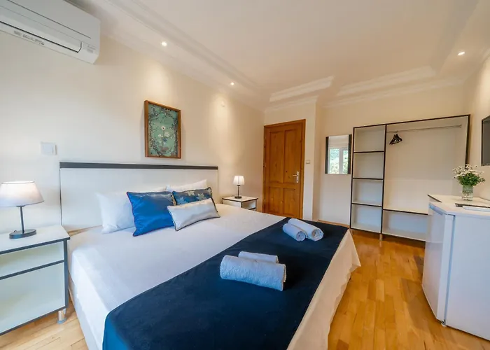 Hotel Lacitrus Villa&hotel-ozy *