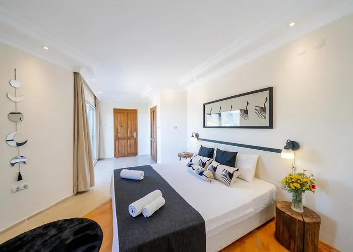 Hotel Lacitrus Villa&hotel-ozy