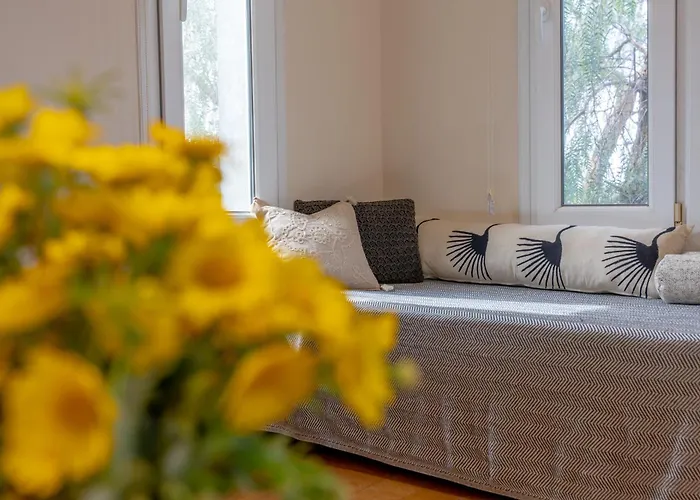 Lacitrus Villa&hotel-ozy Hotel *