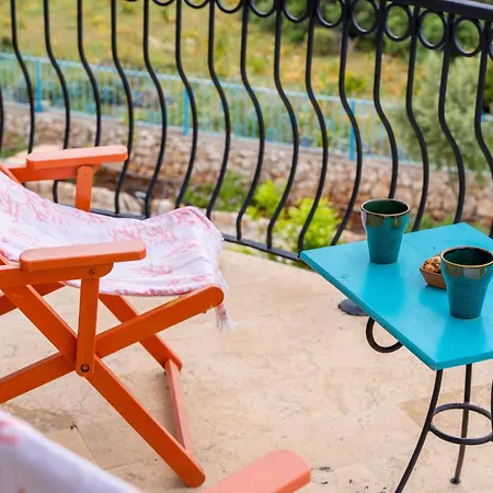 Hotel Lacitrus Villa&hotel-ozy