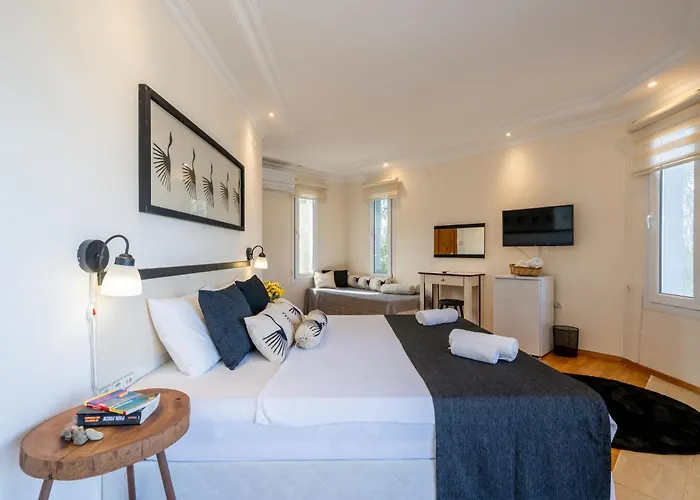 Lacitrus Villa&hotel-ozy Hotel *