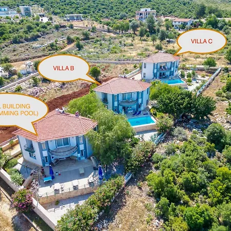 Hotel Ozy - Lacitrus Villa&hotel *